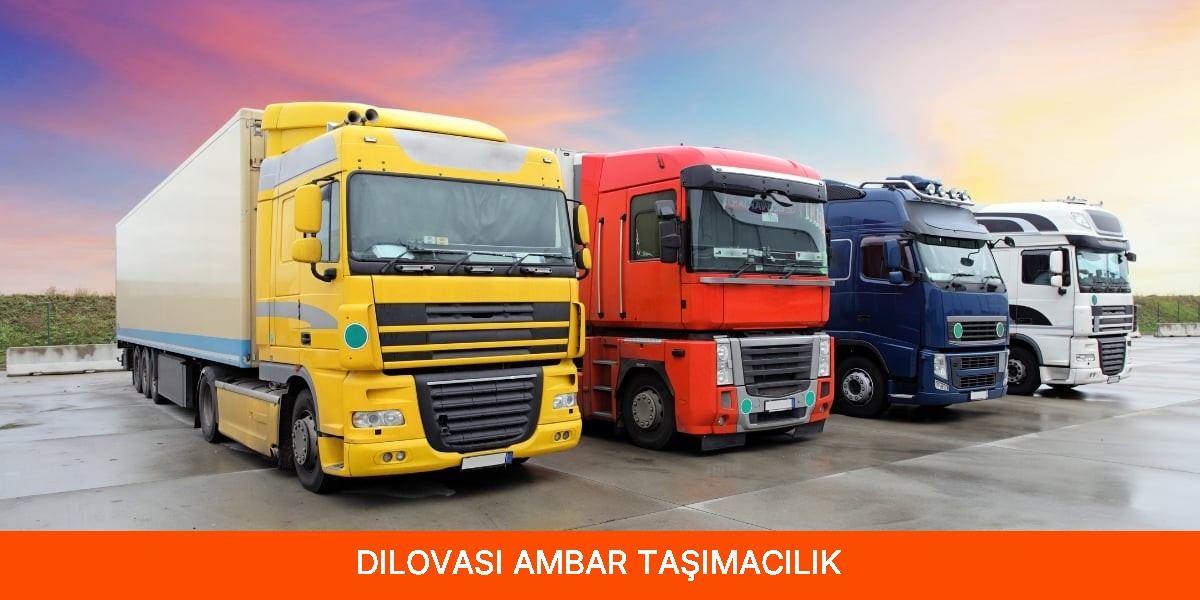 Dilovası Ambar Taşımacılık
